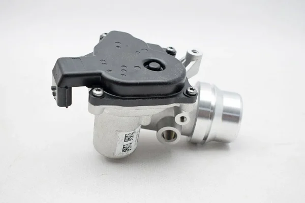 sqi5tm7jejbd8nqcre2hzuuirrk6hbngzghhpd4e-11132